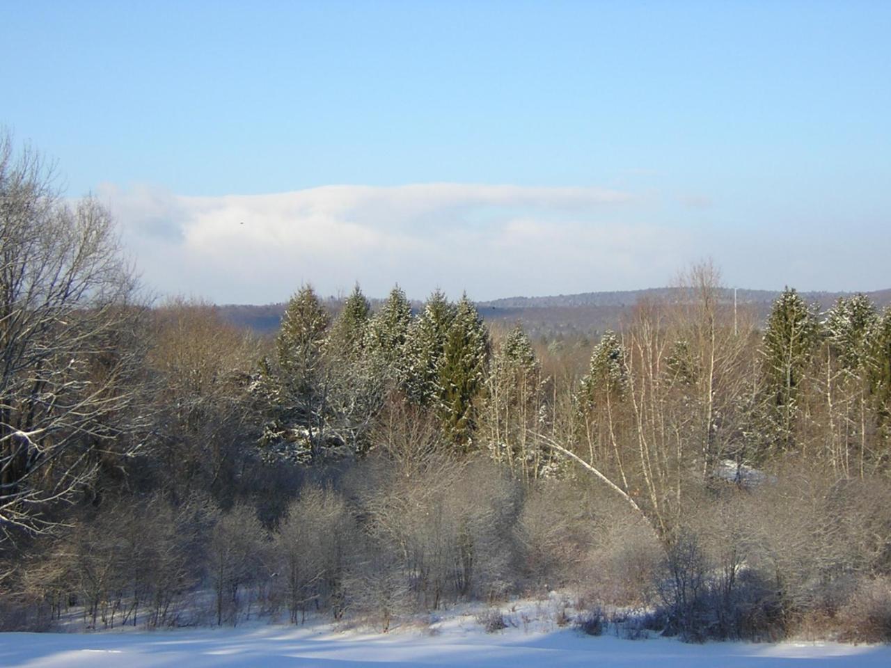 Centennial House Bed And Breakfast Northfield Екстериор снимка